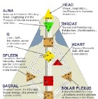 Biology Function